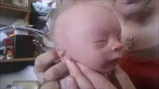 Reborn Baby Assembly, watch Ever-Lee Rose being put together and born