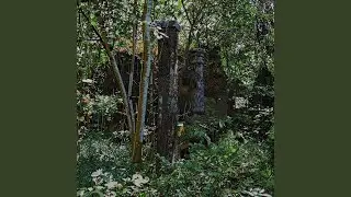 Ei Dvipa (feat. Bert Cools, Indrė Jurgelevičiūtė, Jean-Christophe Bonnafous, Jauna Muzika...