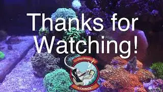 My Broadcast