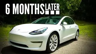 Tesla Tips from the First 6 Months of Owning a 2020 Tesla Model 3