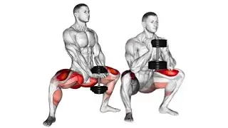 Best Superset Dumbbell Workout for Stronger Legs