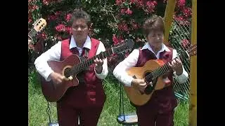 alli donde tu sabes las violetas de risaralda