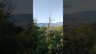 Maple Grove Trail 1 - overlook #utah #wasatch #nature #hiking