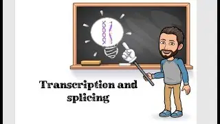 DNA TRANSCRIPTION AND SPLICING (EASY UNDERSTANDING)