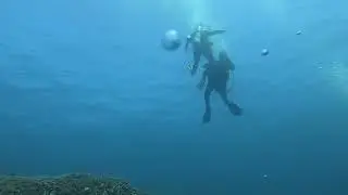 Scuba Dive Brisbane Australia