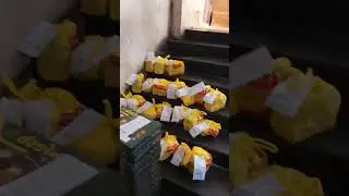 swiggy Zomato rider hadtal