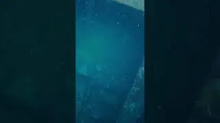 Inside sunken ship! #scuba #scubadiving #shipwreck #ocean  #fy #fyp