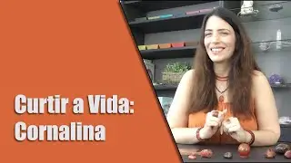 Curtir a Vida: O Poder da Cornalina