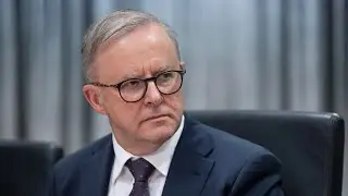 &lsquo;Disgraceful cop-out&rsquo;: Albanese government criticised for pandemic response inquiry