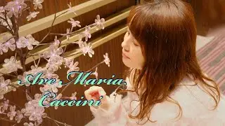Ave Maria　Caccini　T-CATまたたびくんピアノ　StreetPiano