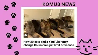 We Made The KOMU8 News