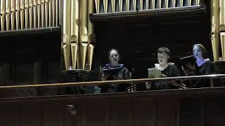 Three Little Birds - Bob Marley - classical vocal trio version