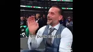 Cm punk core