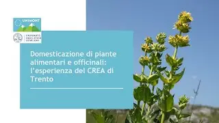 Domesticazione di piante alimentari e officinali: l’esperienza del CREA di Trento