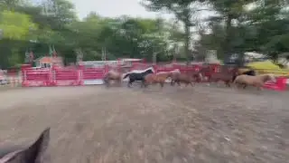 Weekend Break: Sonny Acres farm pro rodeo and bull riding