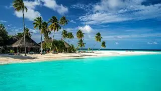 Classical music - Always Nature Escape - Jane Cooper - Calming Relaxing Music - Soothing Nature