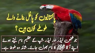پاکستانیوں کو پاغل بنانے والے طوطے کون ہیں ؟ |Zia fakhar Five minutes with Zia