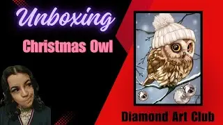 Распаковка рождественской совы | Diamond Art Club | Мэрилин Казенав