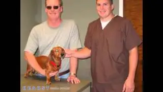 Briarcrest Veterinary Clinic Bryan TX 77802