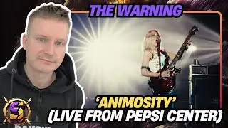 ЛЮБОВЬ, ЛЮБОВЬ, ЛЮБОВЬ! | The Warning - Animosity (Live at Pepsi Center CDMX) | Первые впечатления