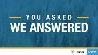 FAQ: Applying Talinor herbicide to control broadleaf weeds in wheat