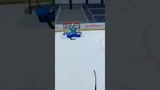 Vr hockey reborn
