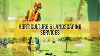 Versatile India Services PVT LTD - A Complete Facility Management Solutions