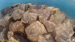 סרטון מדריך לפיתה צפה עם עשרה קרסים מלכודת לבורי (לקרוא את ההסבר למטה )