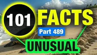 101 Incredible Facts Hard to Believe