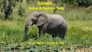 Tour 2025 - Track 7 - Amazing Zambia - Kafue NP and Ngonye Falls - 4k