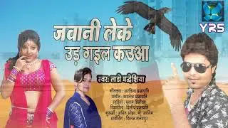MD ynosh 8766237085