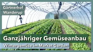 Ganzj&auml;hriger Gem&uuml;seanbau im Market Garden | G&auml;rtnerhof Wanderup | Rundgang 2 | 2019