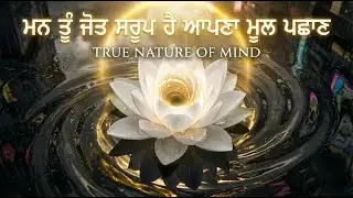 ਮਨ ਤੂੰ ਜੋਤ ਸਰੂਪ ਹੈ | Mann Tu Jot Saroop Hai | Recognize Your True Self | Sleep