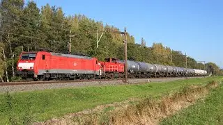 Diverse treinen op een fraaie najaarsdag nabij Dordrecht