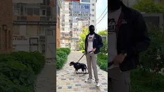 Поясняю за ваши сеты! Спрос за Dickies???
