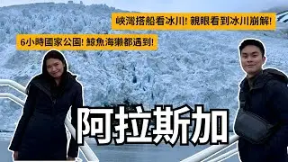 阿拉斯加 | 游輪看冰川! 基奈峽灣國家公園峽灣6小時行程全部看! 鯨魚群圍著船邊游! | Travel Vlog Ep89 Seward, Alaska
