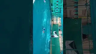 Swimfit swimming pool academy Muzaffarpur 9631712666