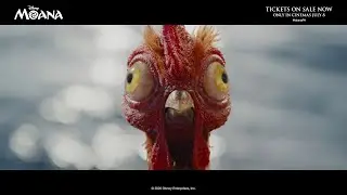 Moana | Screaming Heihei | In Cinemas July 8