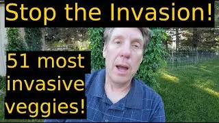 Stop the Invasion! 51 Most Invasive Garden Plants!