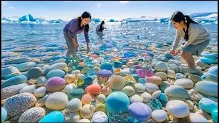 Golden Diamond Beach, the clear waters are full of seafood，Giant Pearl Scallops