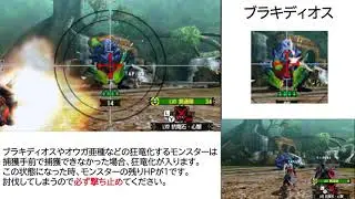MH4Gガンナーハメ解説動画