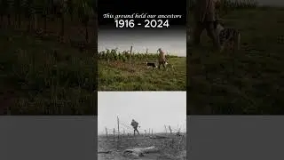 Forgotten War Echoes, Still Felt Today