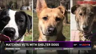 Rescuing veterans   rescuing shelter dogs = saving lives