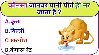 || Gk in Hindi || General knowledge || GK Quiz ||  || Gk Video 2026 ||