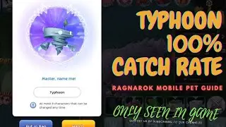 HOW TO GET HURRICANE/TYPHOON PET 100% SUCCESS PET GUIDE [RAGNAROK M: ETERNAL LOVE (SEA)]