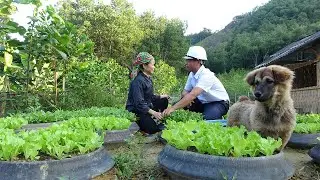 Homeless single mother with kind CEO build safe place in the rainforest, happy garden