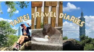Taiwan Travel Diaries (pt3) - Elephant Mountain, Ningxia Night Market, Capybara Cafe and more! 🌺