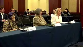 Budzinski Slams Republican Health Care Crisis During Hearing, Urges Deal to Reopen Government