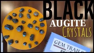 BLACK Augite Crystals Hidden in the PNW mountains near Portland! |&nbsp;Rockhounding Locations in Oregon