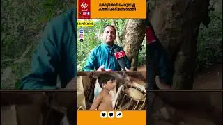 പാണ്ടിമേളത്തോടൊപ്പം തകര്&zwj;ത്ത് കൊട്ടി, നിമിഷങ്ങള്&zwj;ക്കകം വൈറലായി കുഞ്ഞ് അലോക്&zwnj; | Viral Vedio